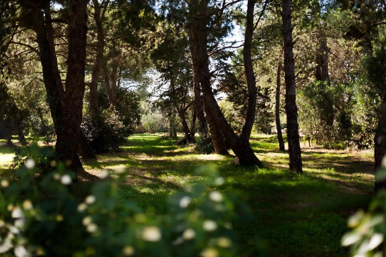 Masseria Borgo Mortella Lecce Bed & Breakfast